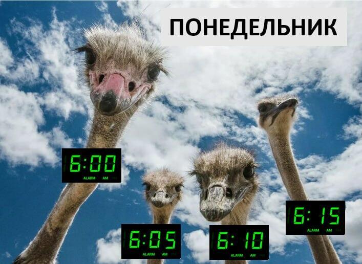 Марафон желаний