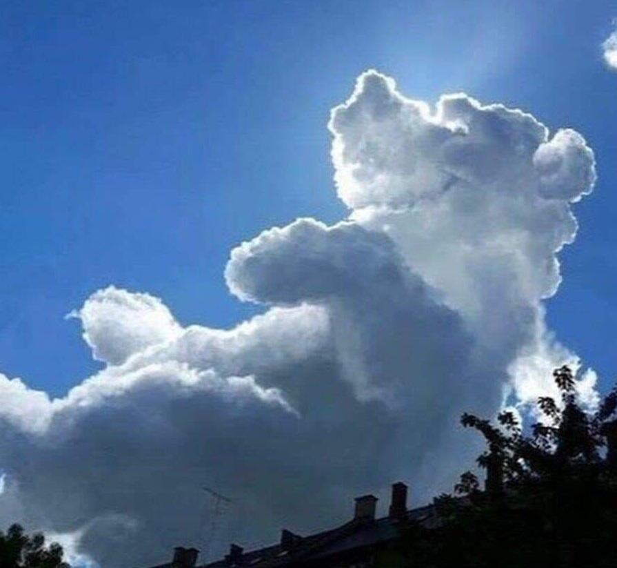 Чудеса в решете