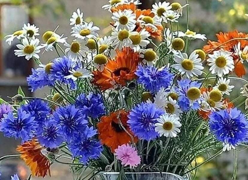 Не хлебом единым