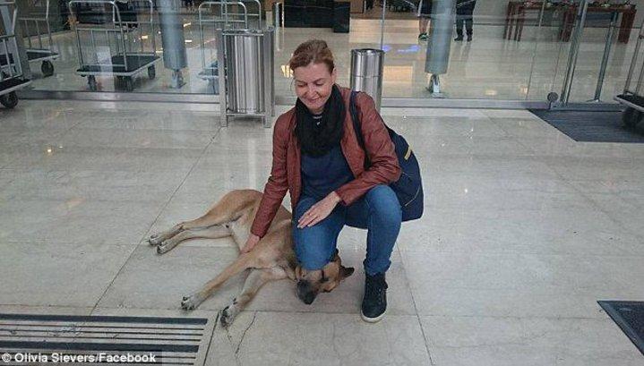 Рубио-друг Оливии