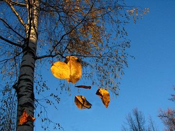 Осеннее или Осенний листочек