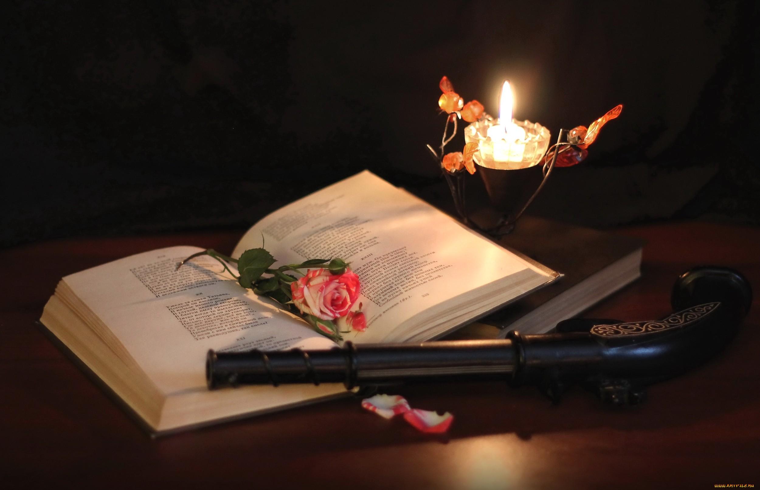 книга цветы роза свеча book flowers rose candle скачать