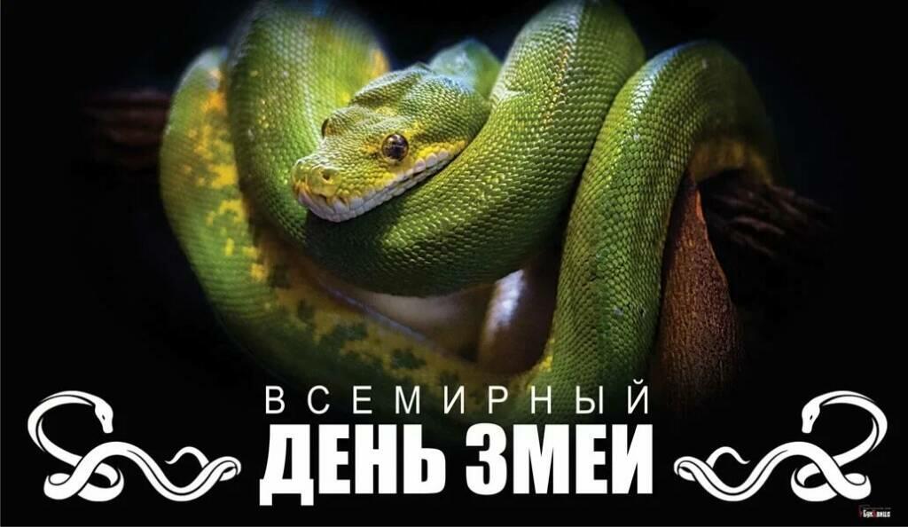 16 июля - Всемирный  День Змеи