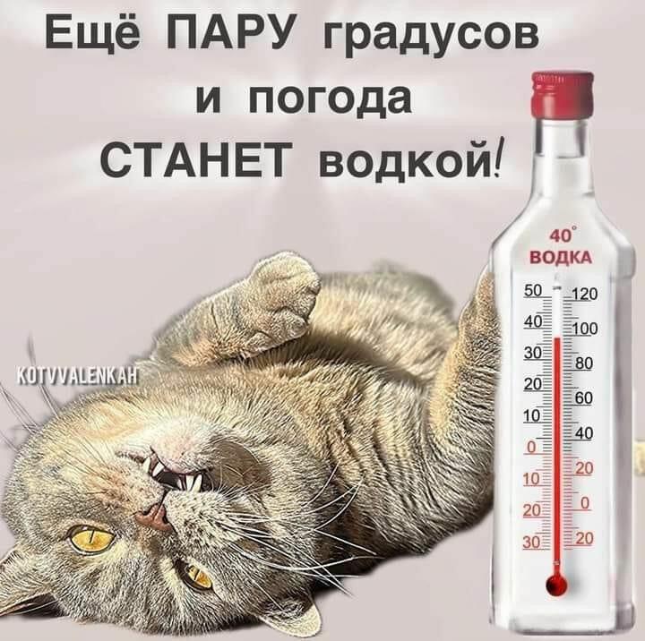 Не верится