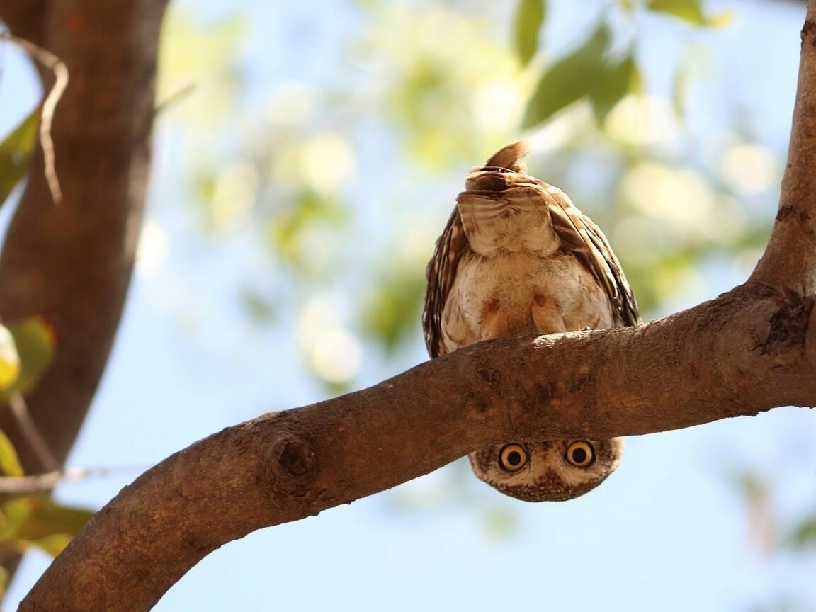 "Взгляни на мир иначе" (05.09.2019)
