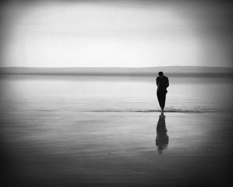 Лев оставляет заячьи следы