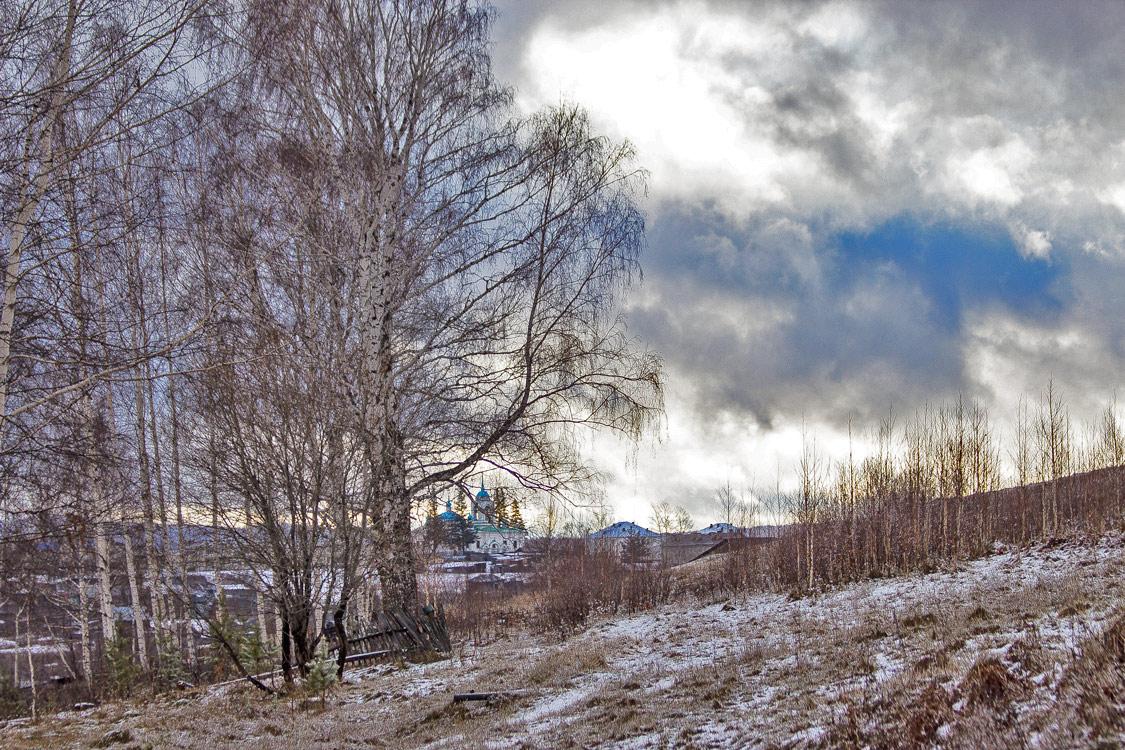 В дремотном полумраке лес...