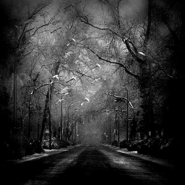 "Беспросветный" (10.07.2014)