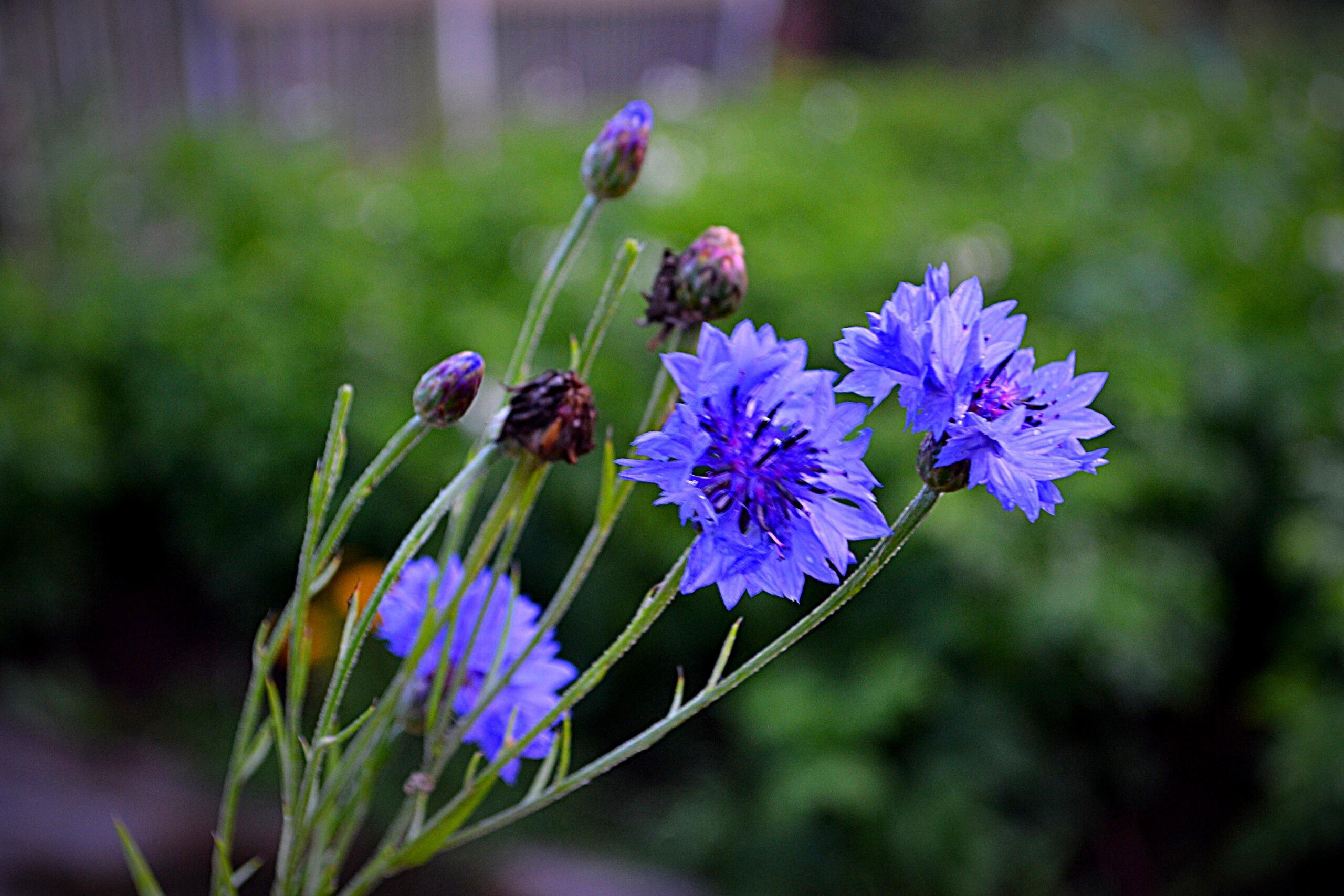 Посреди тишины