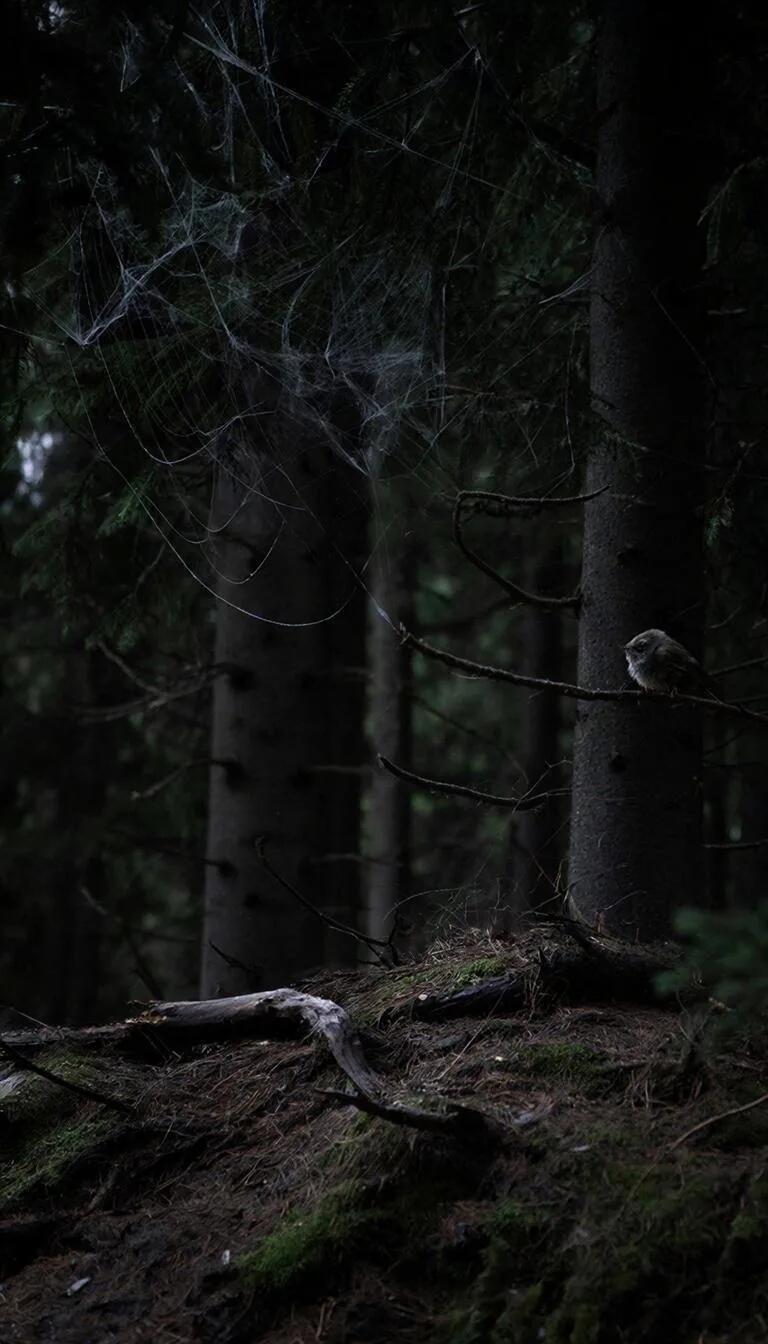 Насилие и порок