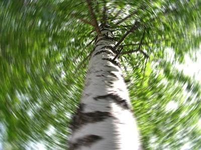 До головокруженья душно