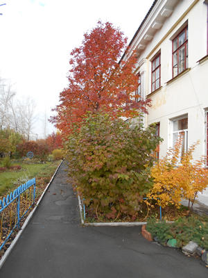 зачем живу, зачем дышу,..