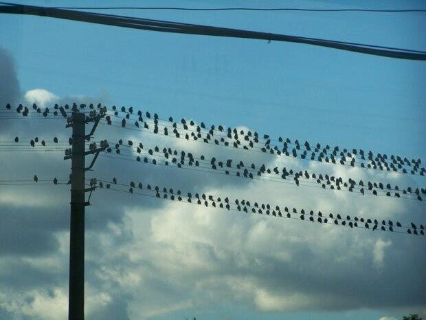 ЭХОМ ИЛЬ ШЁПОТОМ