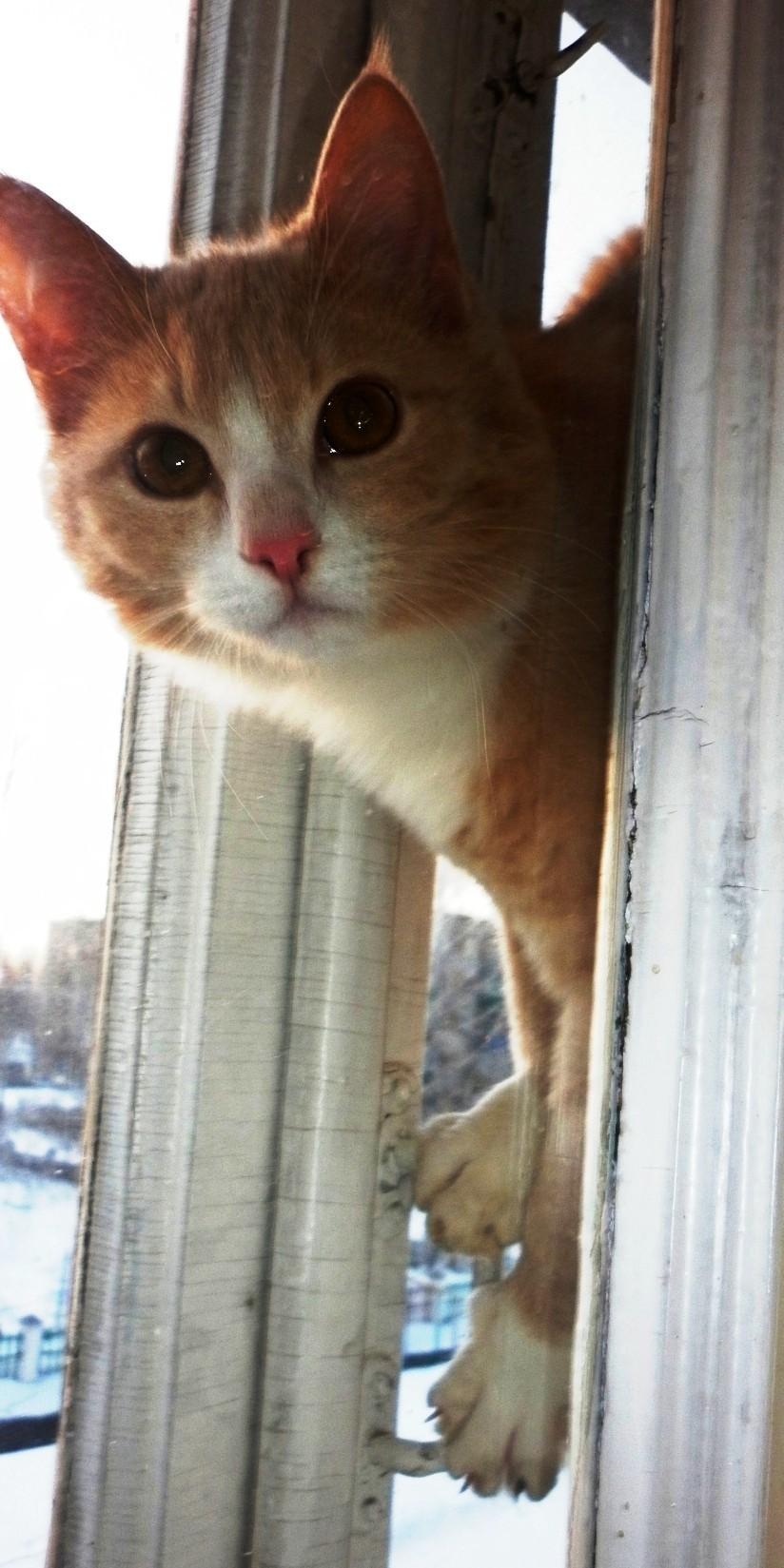 Весёлая компания.