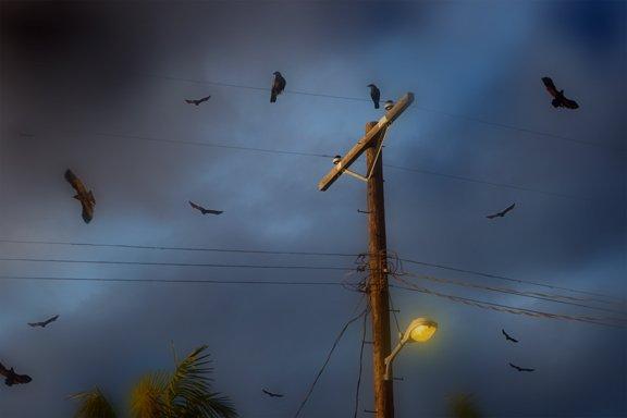 Солнце выглянуло---зябко.