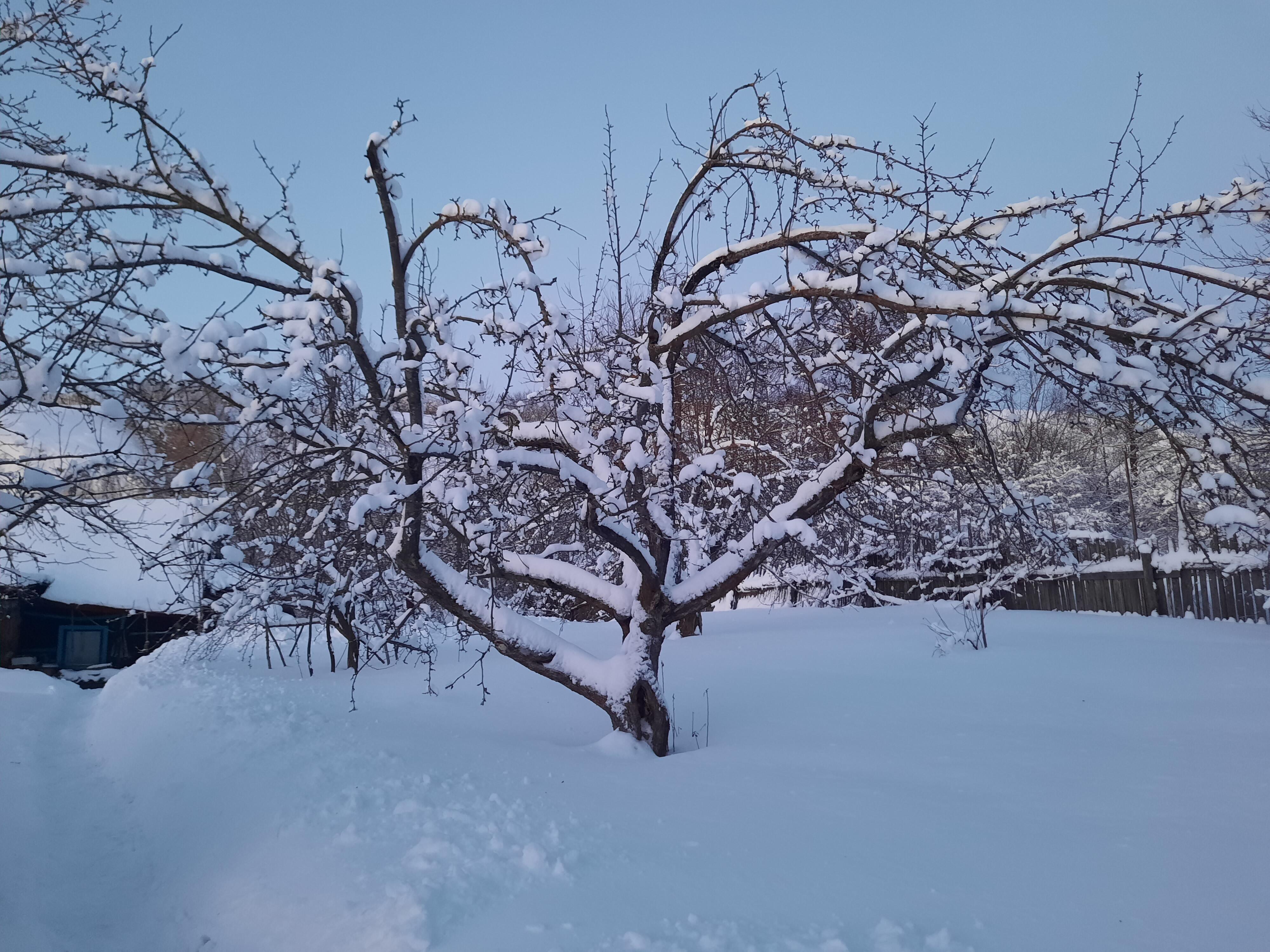 Пожелание в прошлое