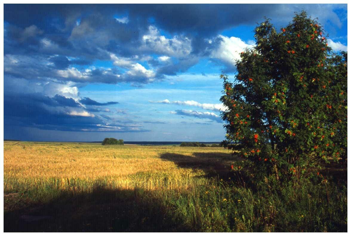 УСТАЛОСТЬ ЛЕТА НАБЛЮДАЕМ