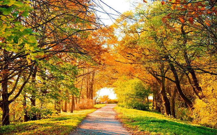 Предосенняя