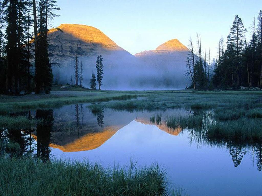 Квант Пространства