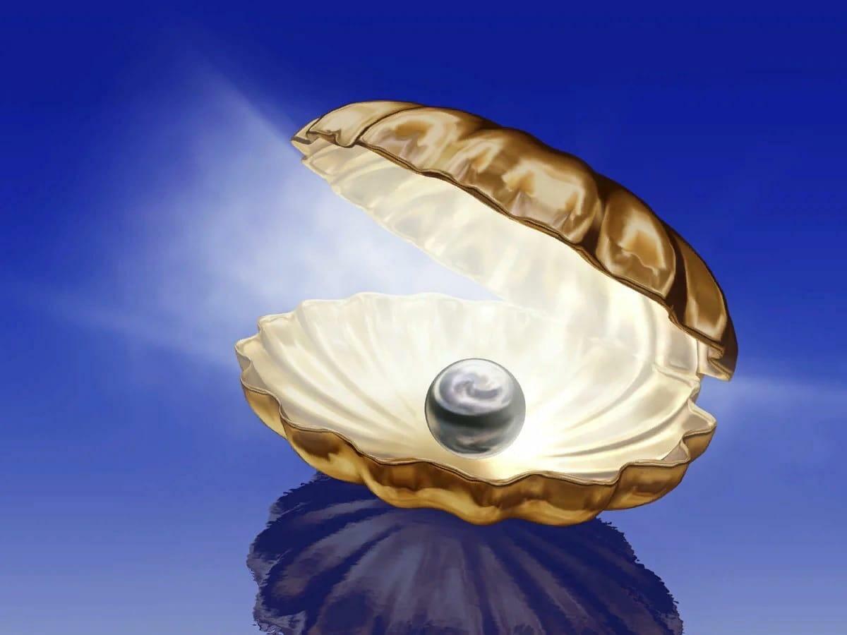 В РАКУШКЕ ЖИЗНИ...