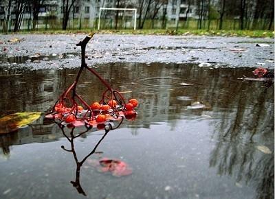 Осенний финал