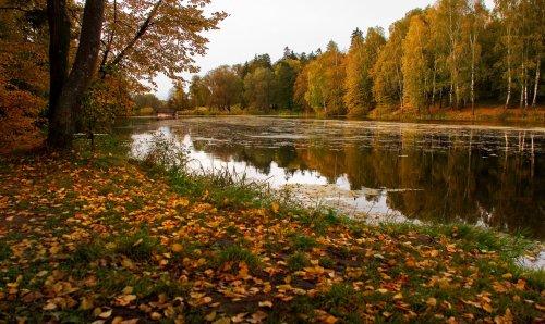 Не ужели осень настала