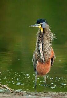 НЕДОСТАТОК