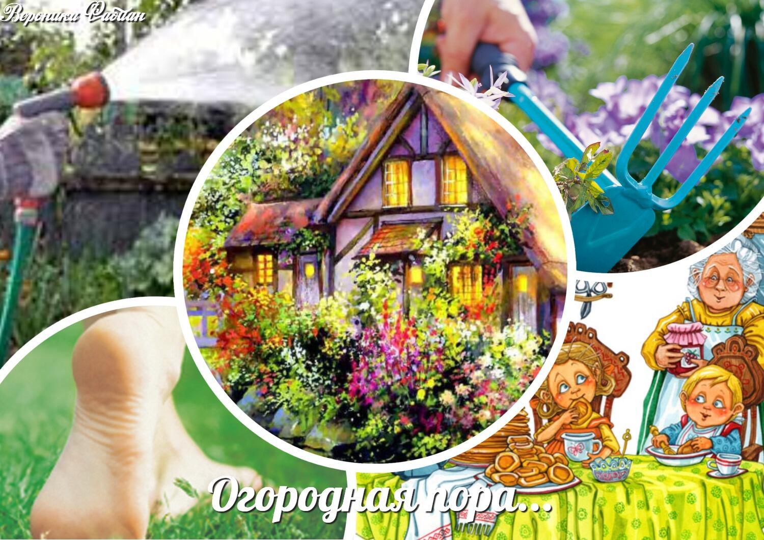 Огородная пора... Шуточное