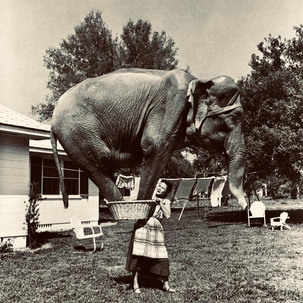 Транзит весов..