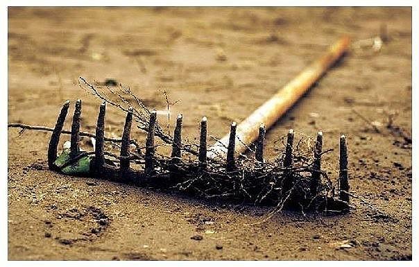 спасибо скажем "дуракам"