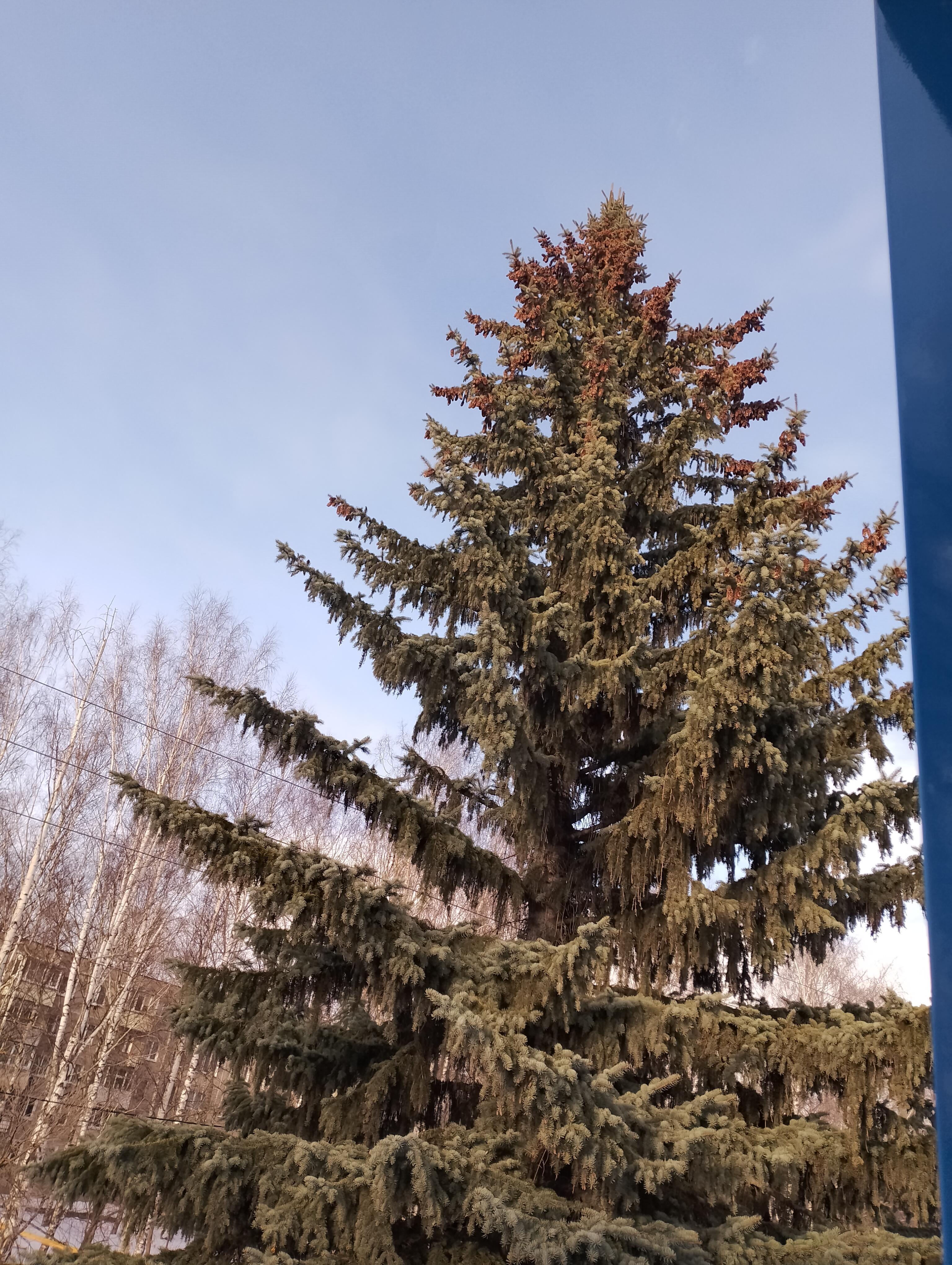 Март на серединке, грусть, туман