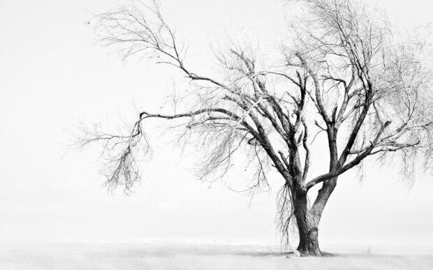 ОСЕНЬ, ОСЕНЬ...