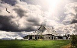 ПОДНЯТЬСЯ НАД СОБОЙ