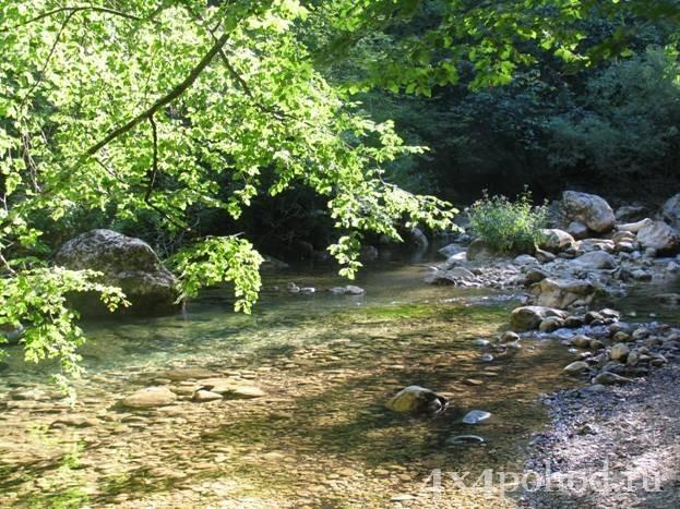 В ТИШИ ЛЕСНОГО КОРОЛЕВСТВА
