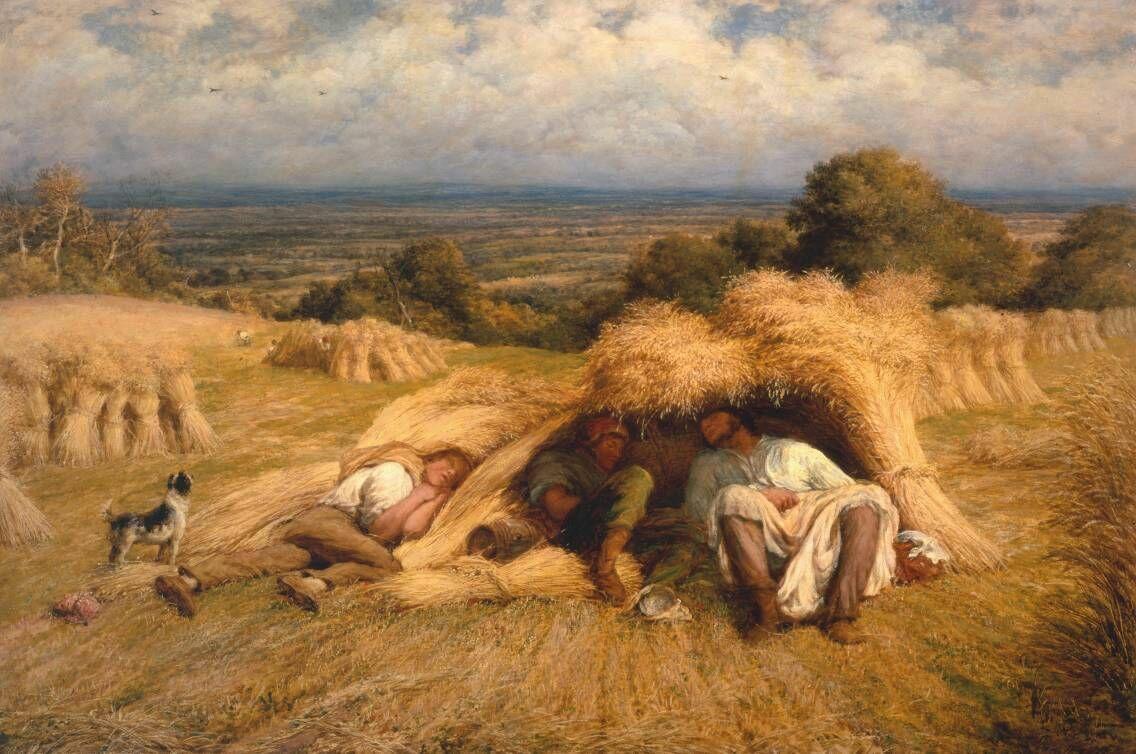 Поле
