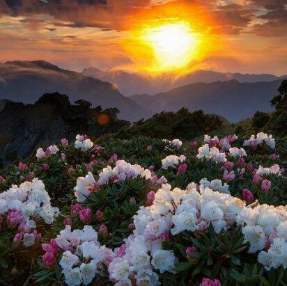 Огненная сказка