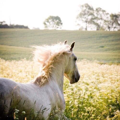 "Письмо моей души"
