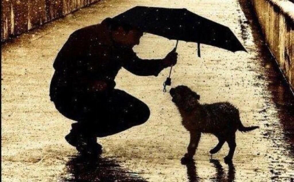 Что хочет Бог?