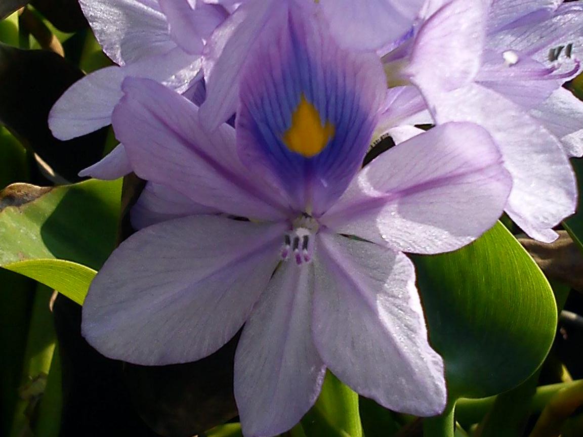 Притчи, глава 22 - перевод с иврита