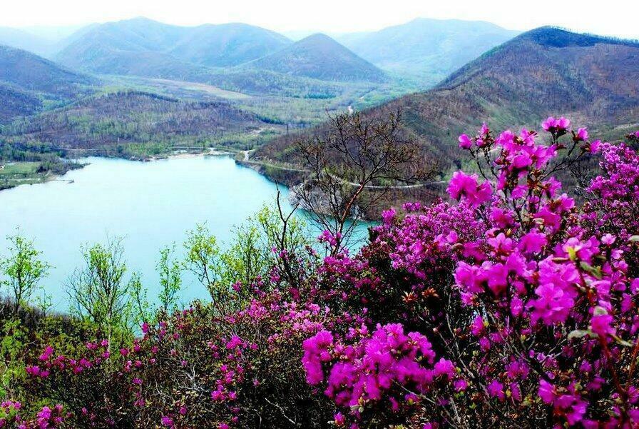 Золотится в далях вечер...