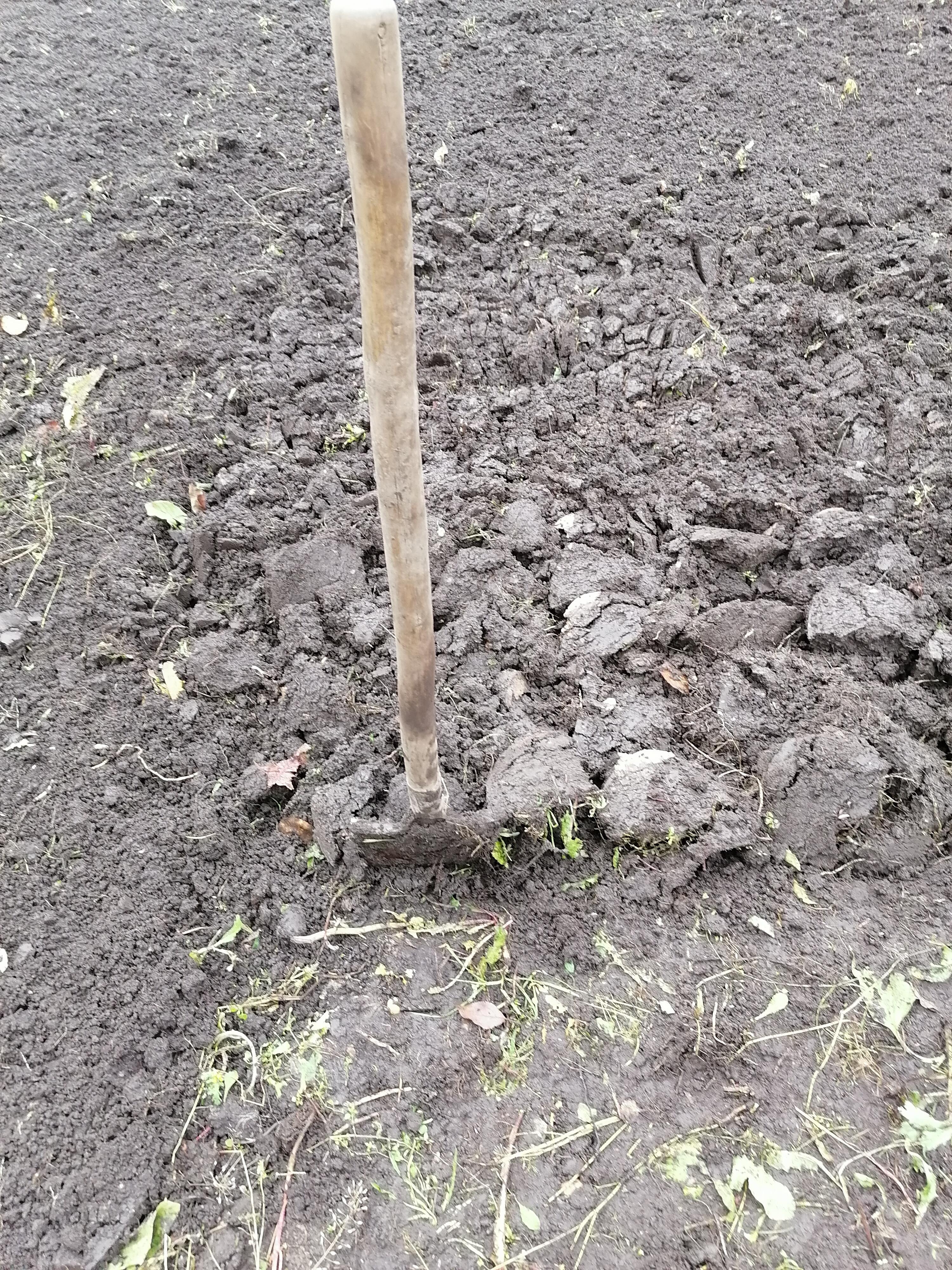 Матушка - земля... 