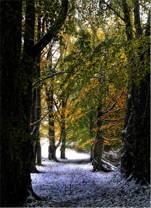 И холодок зимы грядущей