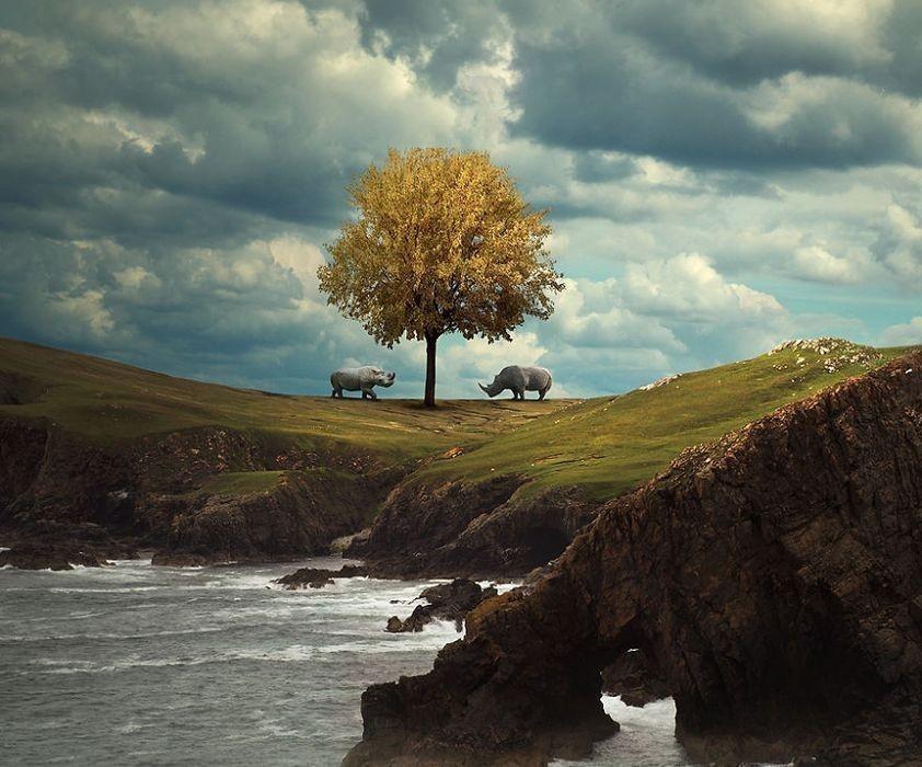 А птичку, жалко…