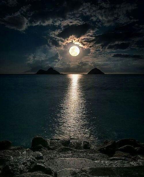 Море вечности