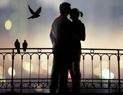 Сова, козодой и щегол