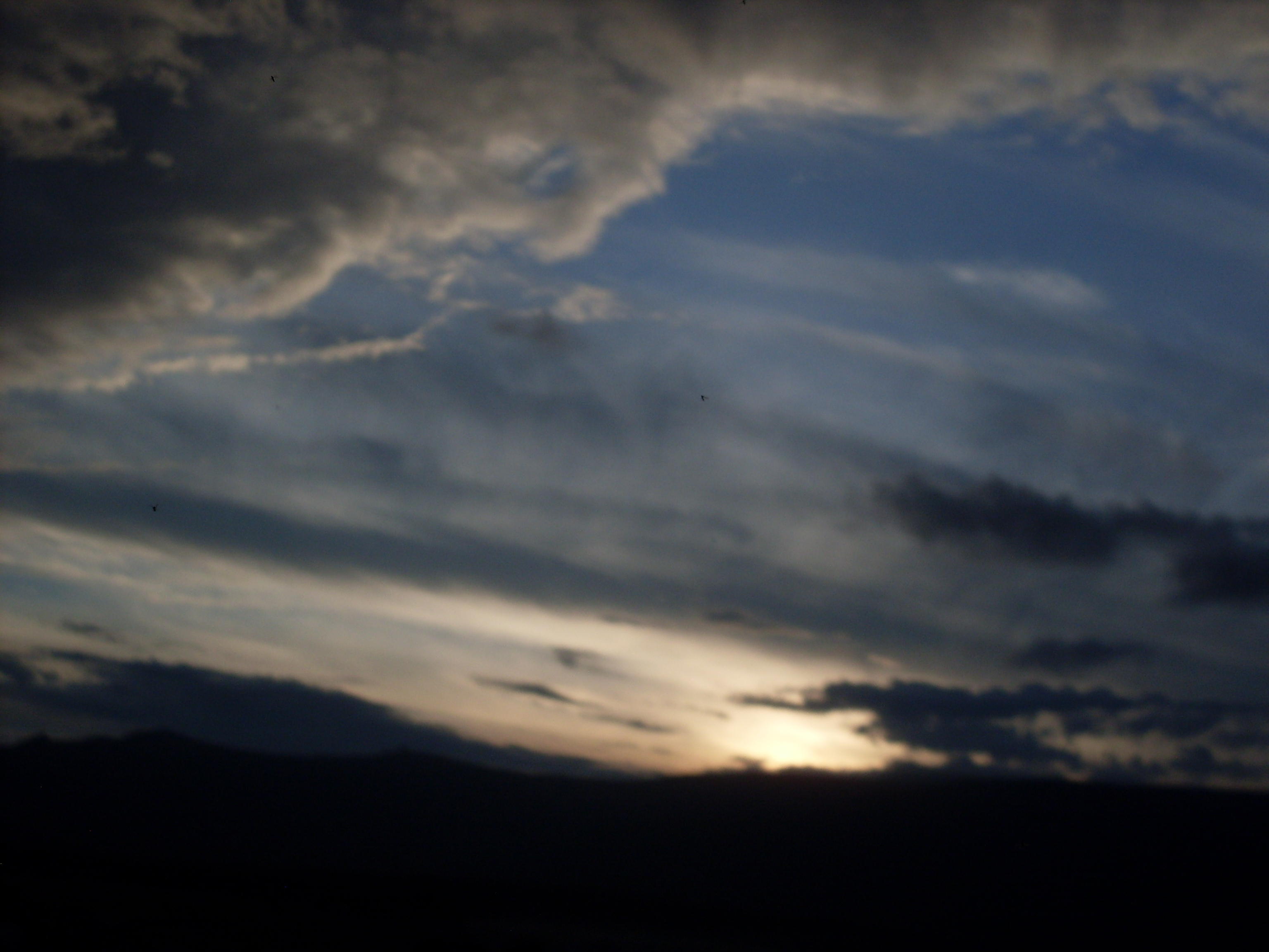 Светлой дали тоска...