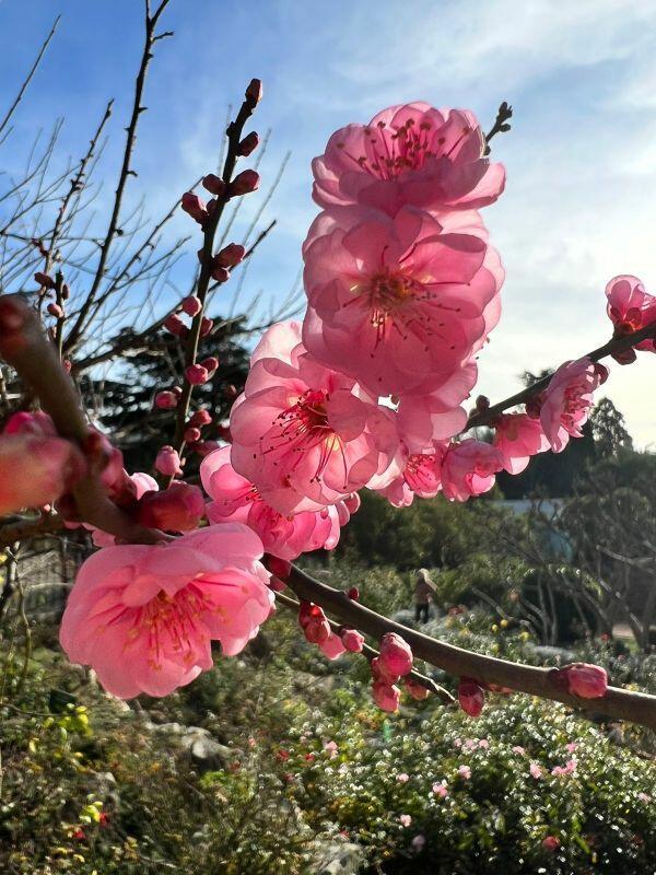 Говорите — декабрь?