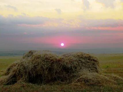 Счастье детства.