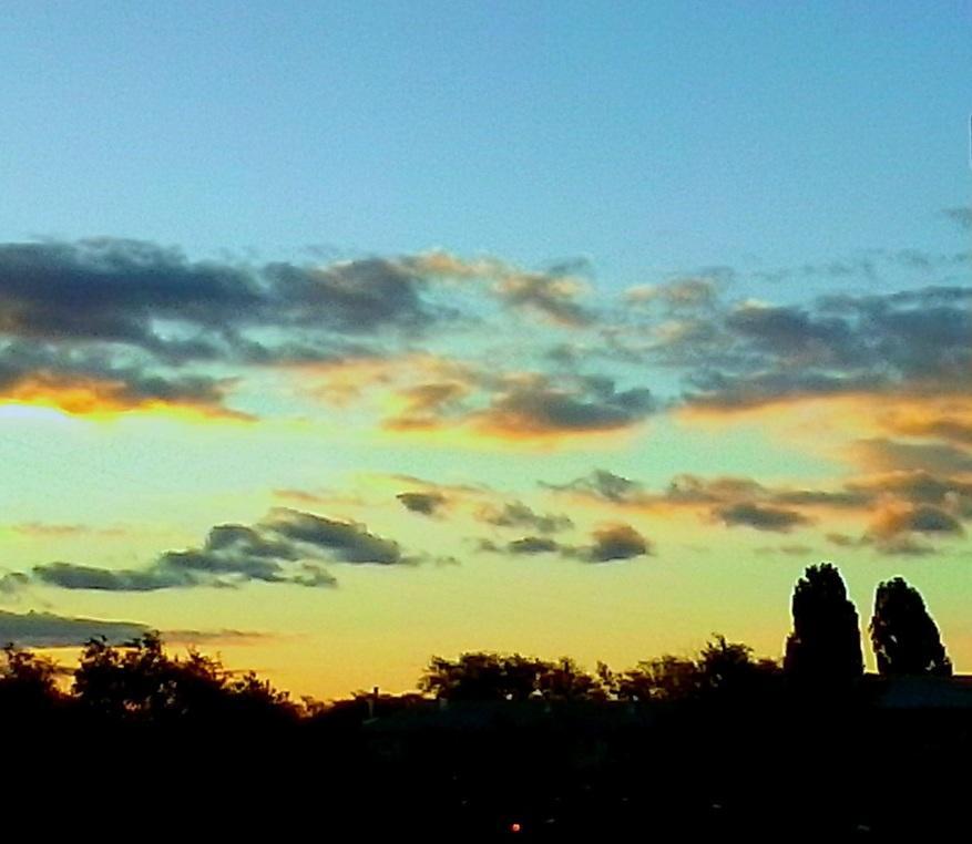 Щедра осенняя палитра...