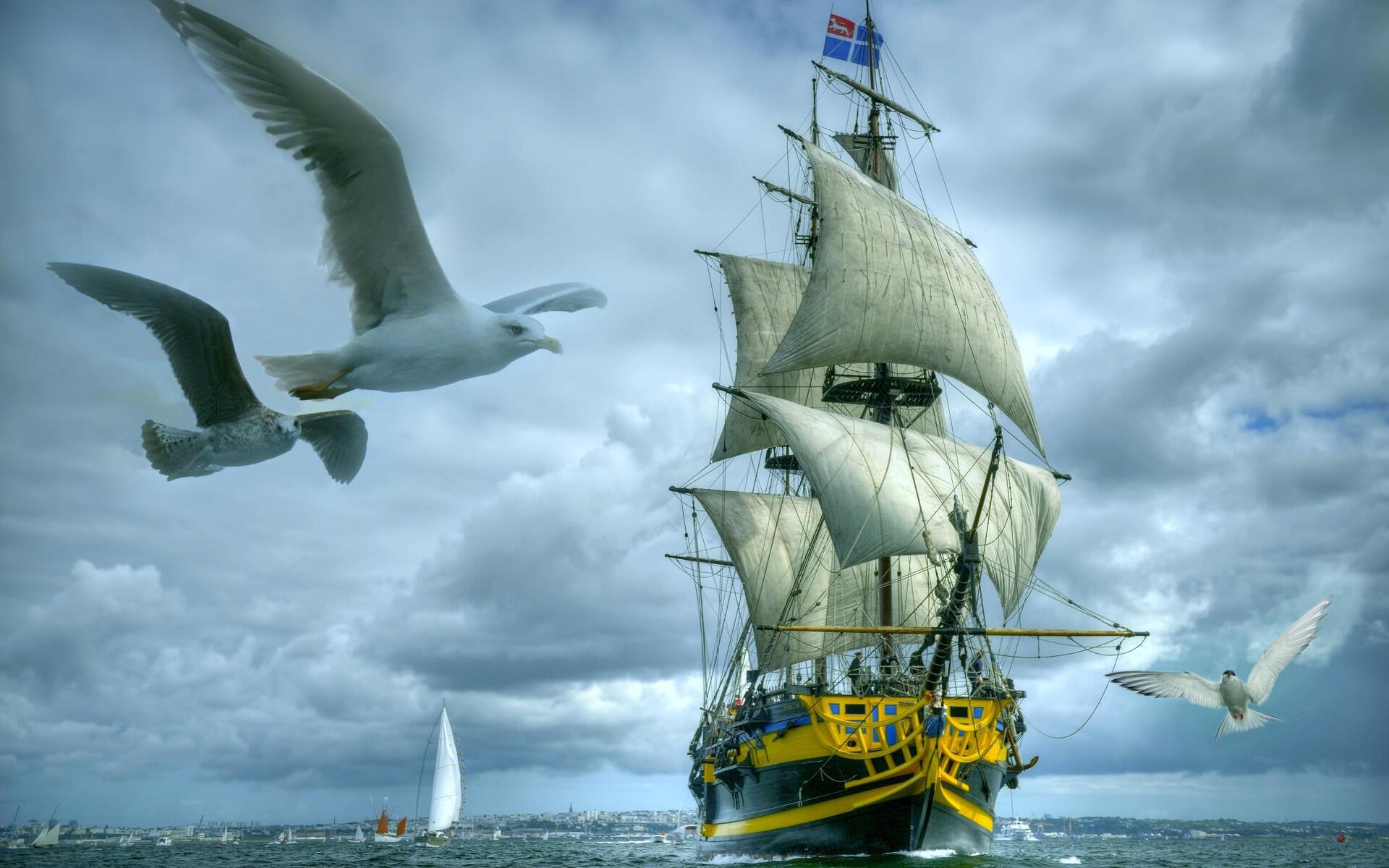 Устал наверно от забот